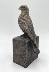 Falcon  - Lost Wax Bronze 12