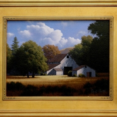 Dark Grove SOLD - Oil on Canvas 18 x 22 Framed