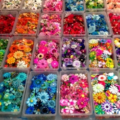 Lots of Flower Pins!!!